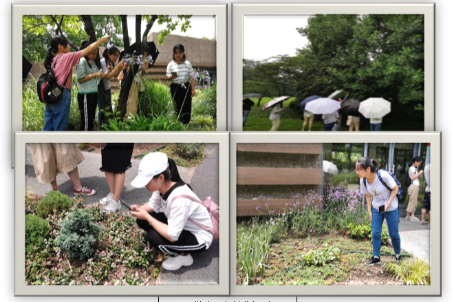 william威廉英国官网