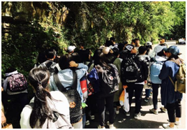 william威廉英国官网