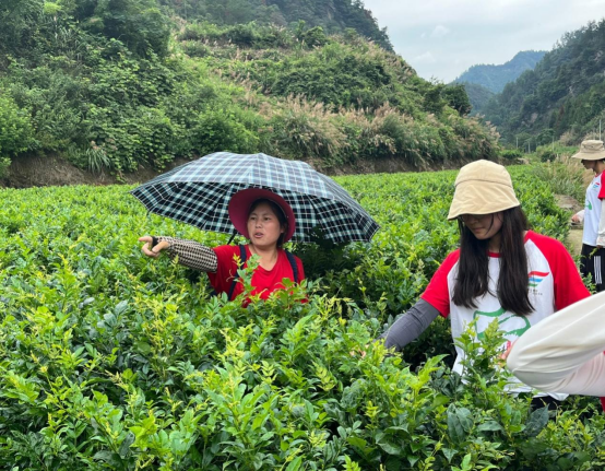 william威廉英国官网