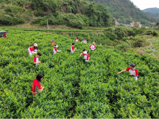 william威廉英国官网