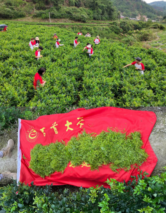 william威廉英国官网